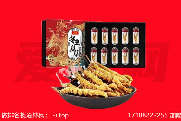 孝感回收虫草.jpg